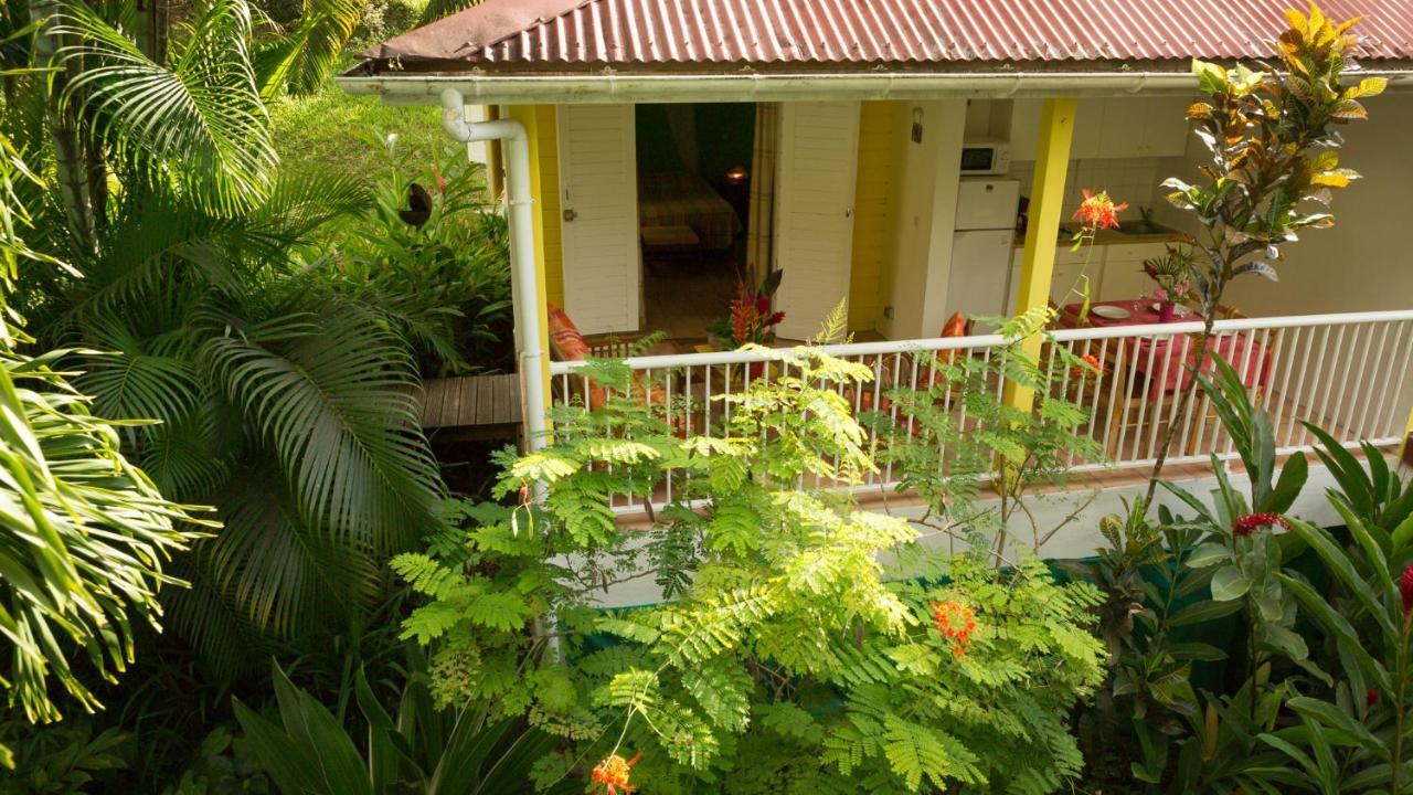 波尔兰特Les Jardins De L'Esperance别墅 外观 照片