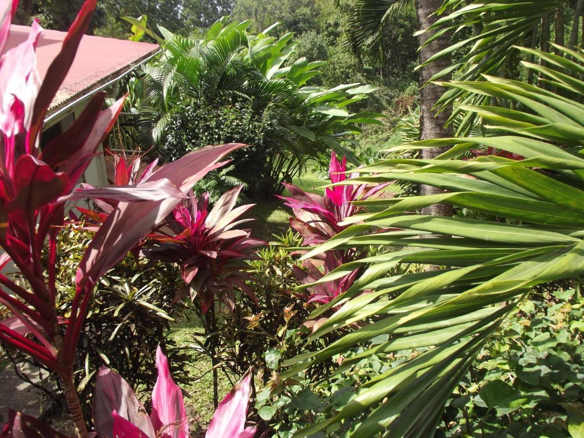 波尔兰特Les Jardins De L'Esperance别墅 外观 照片
