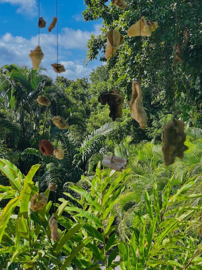 波尔兰特Les Jardins De L'Esperance别墅 外观 照片